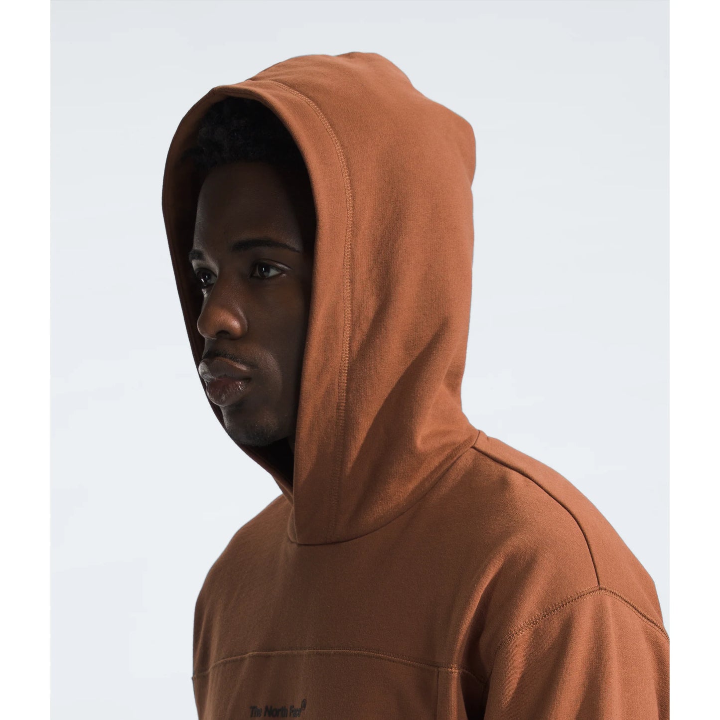 Men's Axys Hoodie in Stone Brown